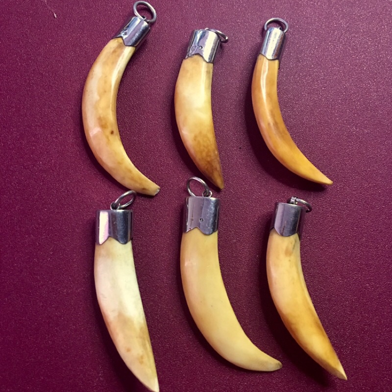 MẶT DÂY CHUYỀN RĂNG NANH