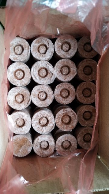 10 Viên Nén Ươm Hạt - Size to 60 mm