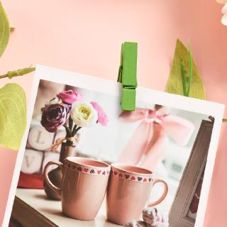 Set 10 Kẹp Gỗ Treo Ảnh