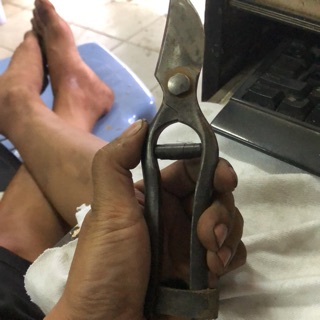 Kéo cắt cành nhật bãi