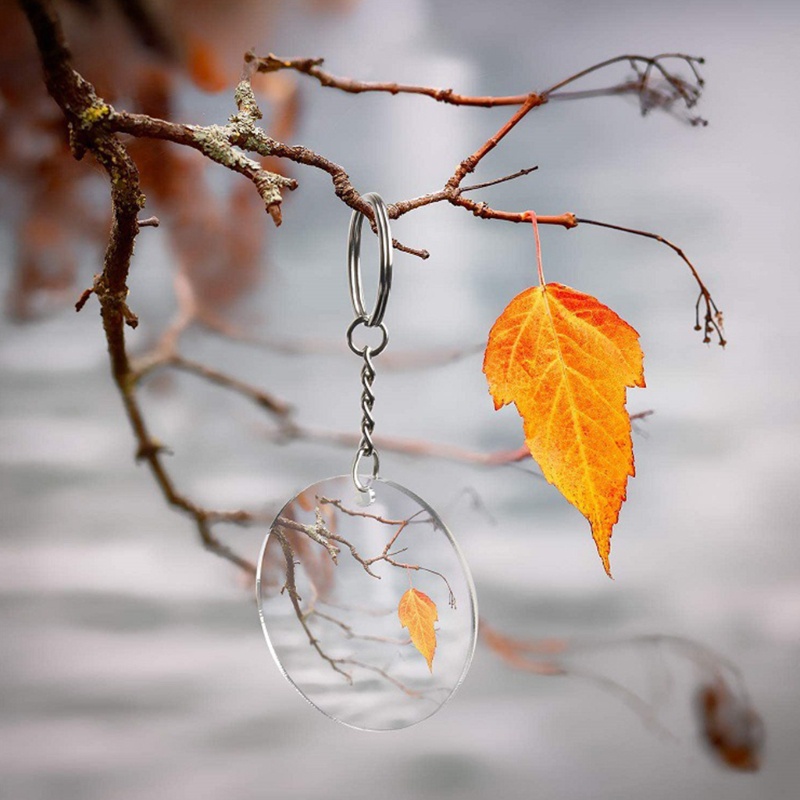 Bộ Chìa Khóa Tròn Bằng Acrylic Trong Suốt Dùng Làm Đồ Thủ Công DIY