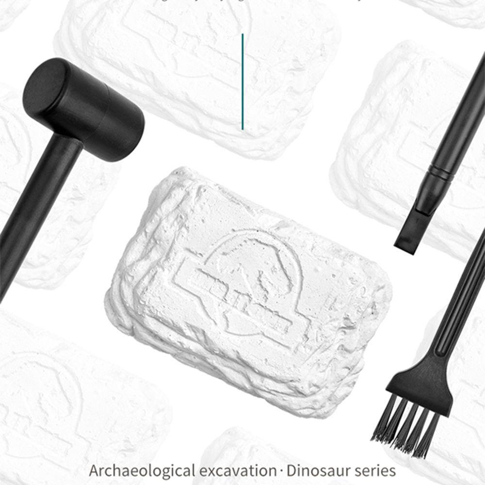 Mô Hình Bộ Xương Khủng Long 3D Độc Đáo Giáo Dục Cho Bé