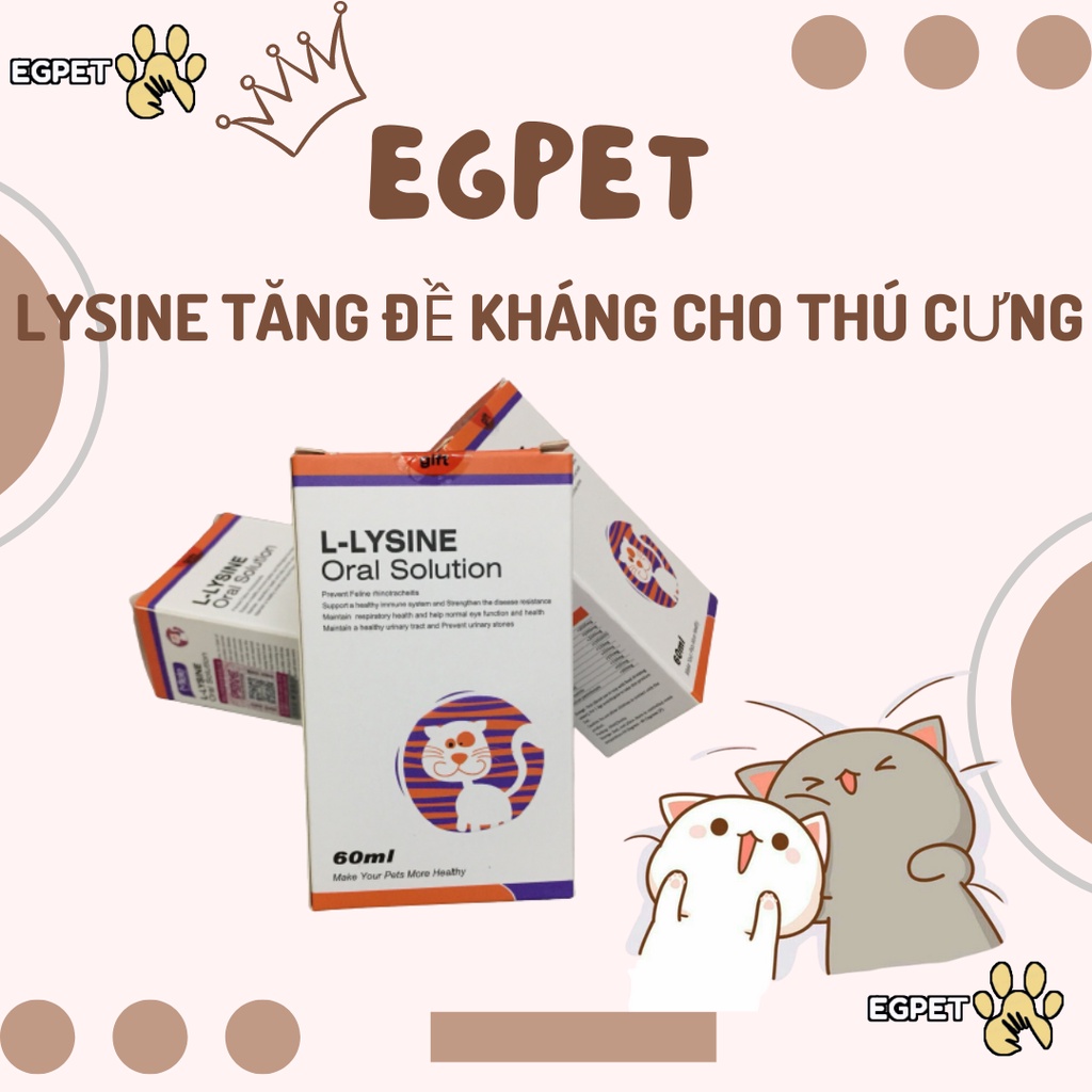 COMBO Lysine, Taurine uống và Nhỏ mũi cho chó mèo (trị calici, herpes viruss)viêm loét giác mạc, xổ mũi