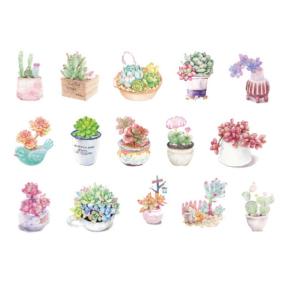 KimiTape Sticker hộp 45 hình dán sen đá trang trí Bullet Journal