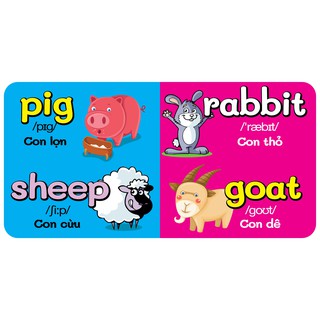 Động Vật - Animals