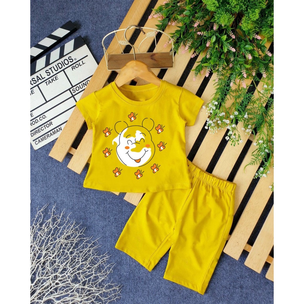 ( Khuyến mãi ) Bộ bé gái hình con gấu va đàn ong xinh đẹp cho bé gái cho bé từ 6-28kg .BDBG50. .