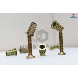 Bộ Bù lon + ốc cấy gỗ