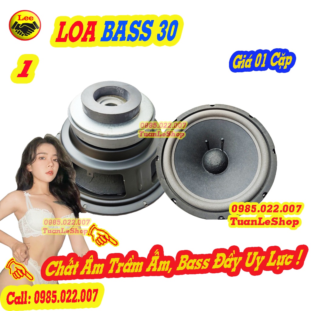 02 LOA BASS 30 GÂN MÚT COIL 65.5 TỪ KÉP KIỂU BMB – GIÁ 02 LOA BASS 3 TẤC TU KEP