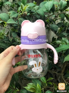 Bình sữa 2in1 Panda - Made in Japan
