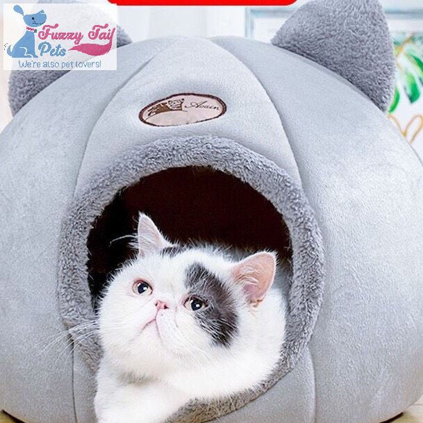 Nhà tai mèo đáng yêu