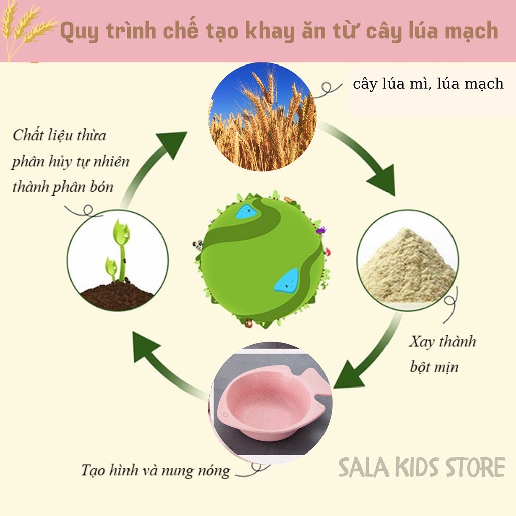 Khay Cơm Cho Bé, Khay Ăn Dặm Lúa Mạch 6 Chi Tiết Đựng Thức Ăn Cho Bé.