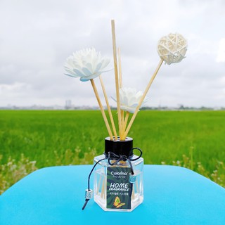 Tinh Dầu Que Gỗ Home Fragrance 50ml - Tinh dầu thơm phòng giúp giảm stress, xua đuổi muỗi hiệu quả