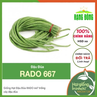 Hạt giống đậu đũa hạt đen rạng đông rado 667 - gói 20g