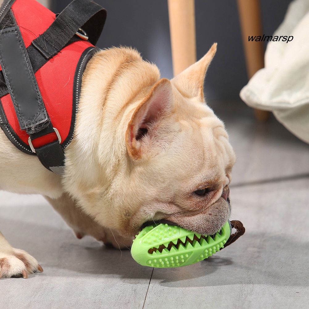 Đồ Chơi Nhai Gặm Co Giãn Hình Quả Bóng Bầu Dục Cho Thú Cưng