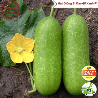 Hạt Giống Bí Đao - Bí Xanh 2gr