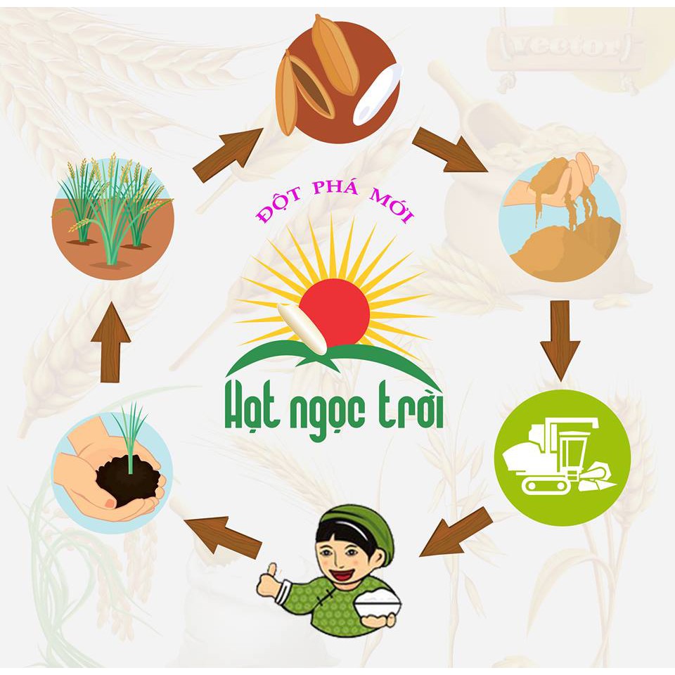 Gạo Hạt Ngọc Trời Thiên Vương 5kg - Giải Nhất Hội Nghị Lúa Gạo Năm Châu 2018 - Gạo Ngon Cao Cấp