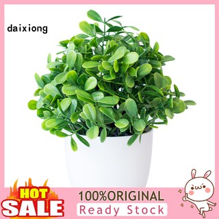 Cây Cảnh Nhân Tạo Bằng Nhựa Dùng Trang Trí Nội Thất