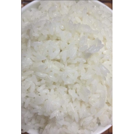 Gạo Tám Điện Biên đóng Bao 10Kg gạo thơm ngon, dẻo như gạo nếp