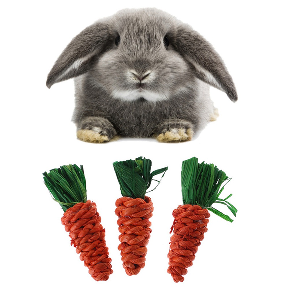 WILLIS Straw Bite Toys Playing Tooth Cleaning Chew Toys 3pcs/set Bird Toy Guinea Pig Rat Parrot Carrot Shaped Pet Supplies