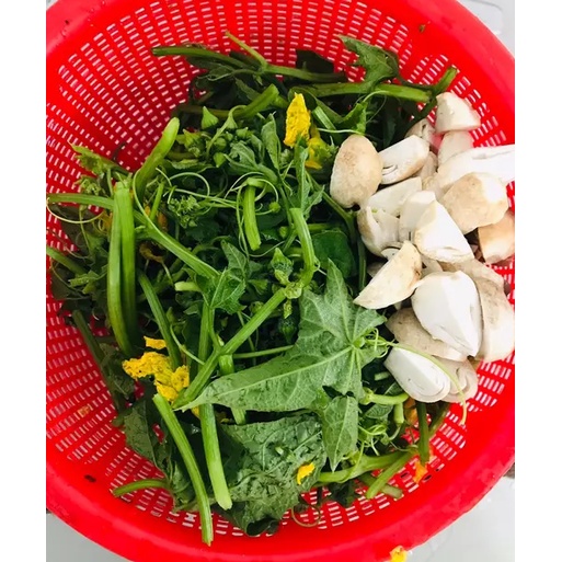 Canxi Bo phân bón lá giúp cây chống rụng trái, nứt trái 100ml