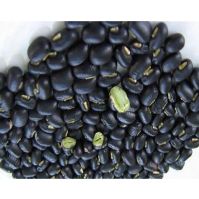Đỗ đen xanh lòng ( đậu đen ) hạt to túi 500g