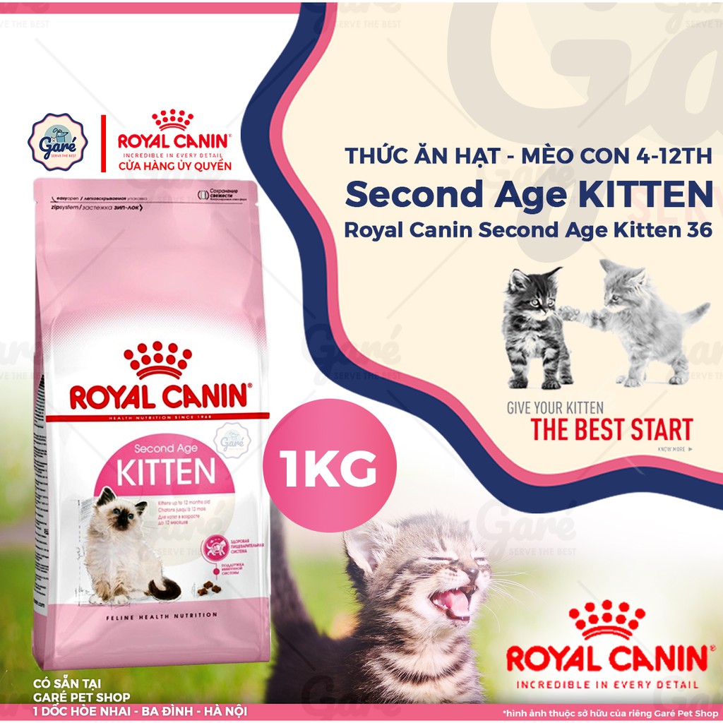 Hạt Kitten Royal Canin dành cho Mèo con từ 4 - 12 tháng tuổi Royal Canin Kitten thức ăn cho mèo Garé Pet Shop