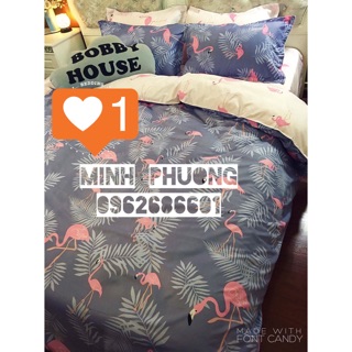 Set m2 và gối ôm+vỏ gối