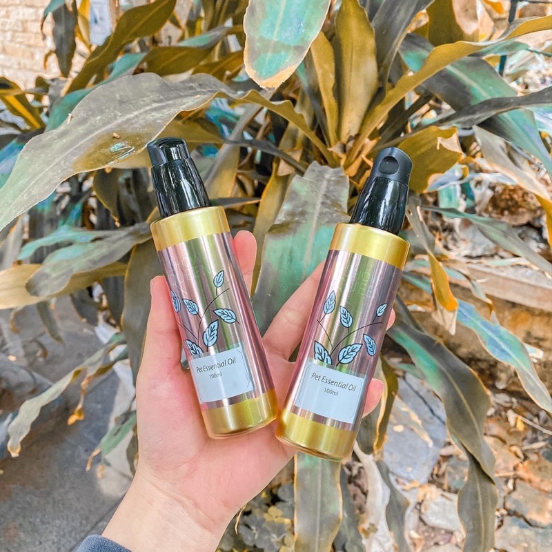 Tinh Dầu nước hoa Show Queen siêu thơm dưỡng lông khử mùi hôi cho thú cưng 100ml - Bản Auth