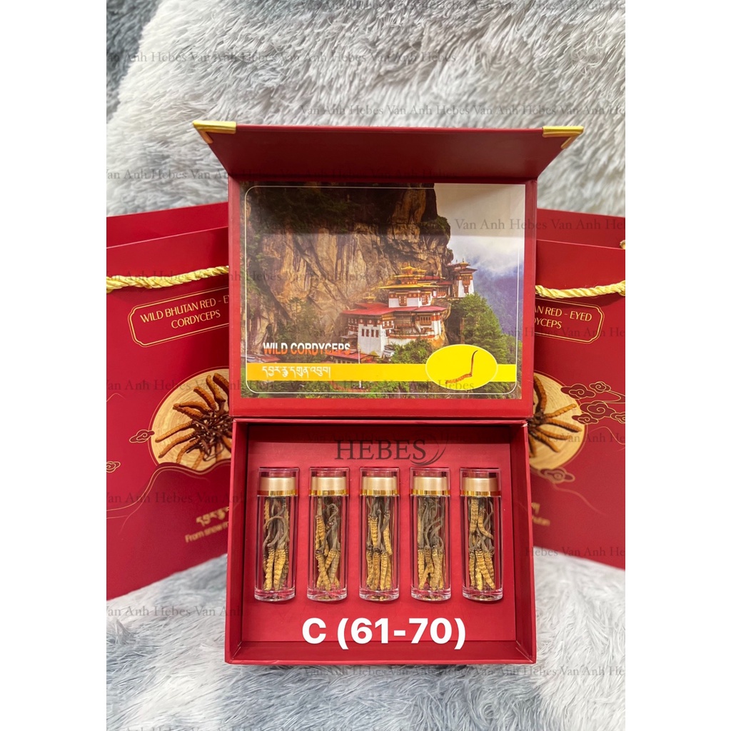 ĐÔNG TRÙNG HẠ THẢO MẮT ĐỎ THIÊN NHIÊN NÚI TUYẾT BHUTAN 10GRAM SIZE 61-70 CON