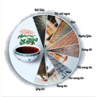 DẦU GỘI CHĂM SÓC TÓC THẢO DƯỢC THỦ ĐẠO THANG.
