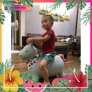 Thú nhún hình con lừa Toys House PA366