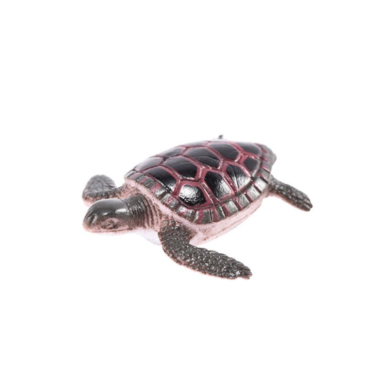 Set 12 Mô Hình Rùa Đồ Chơi Cho Bé