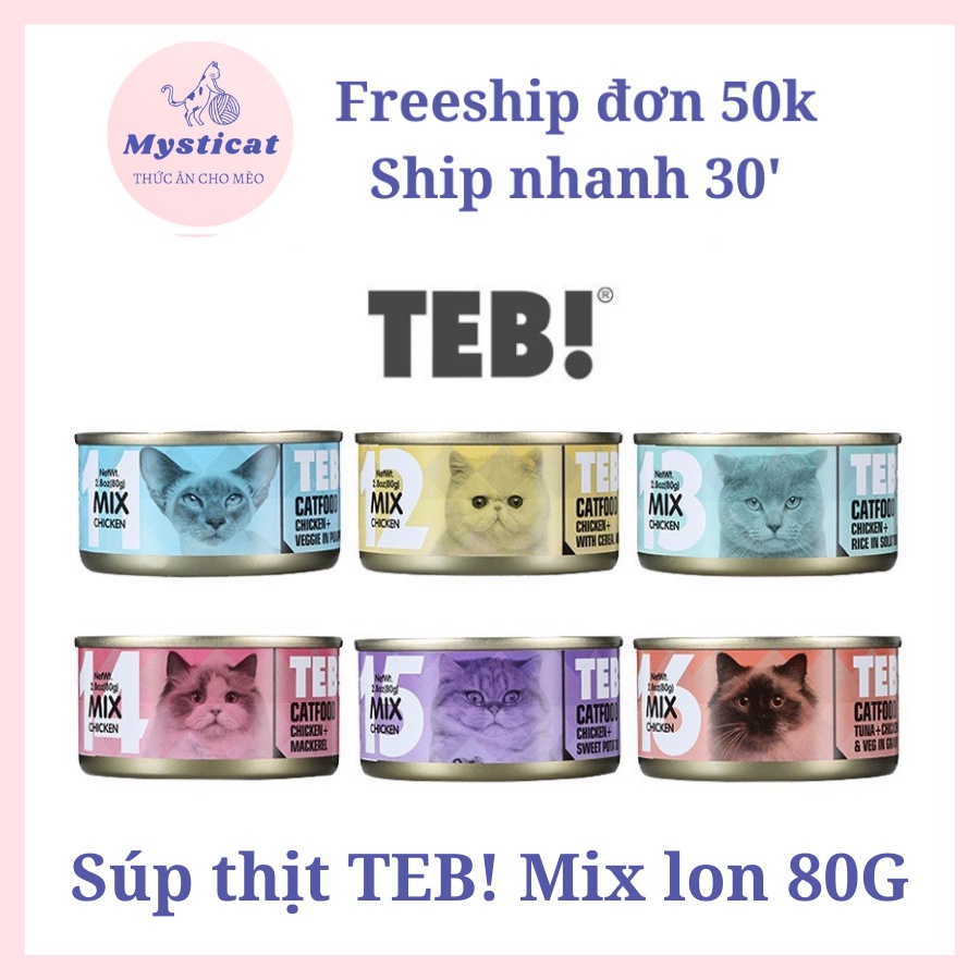 Pate súp thịt TEB J cho mèo 80G