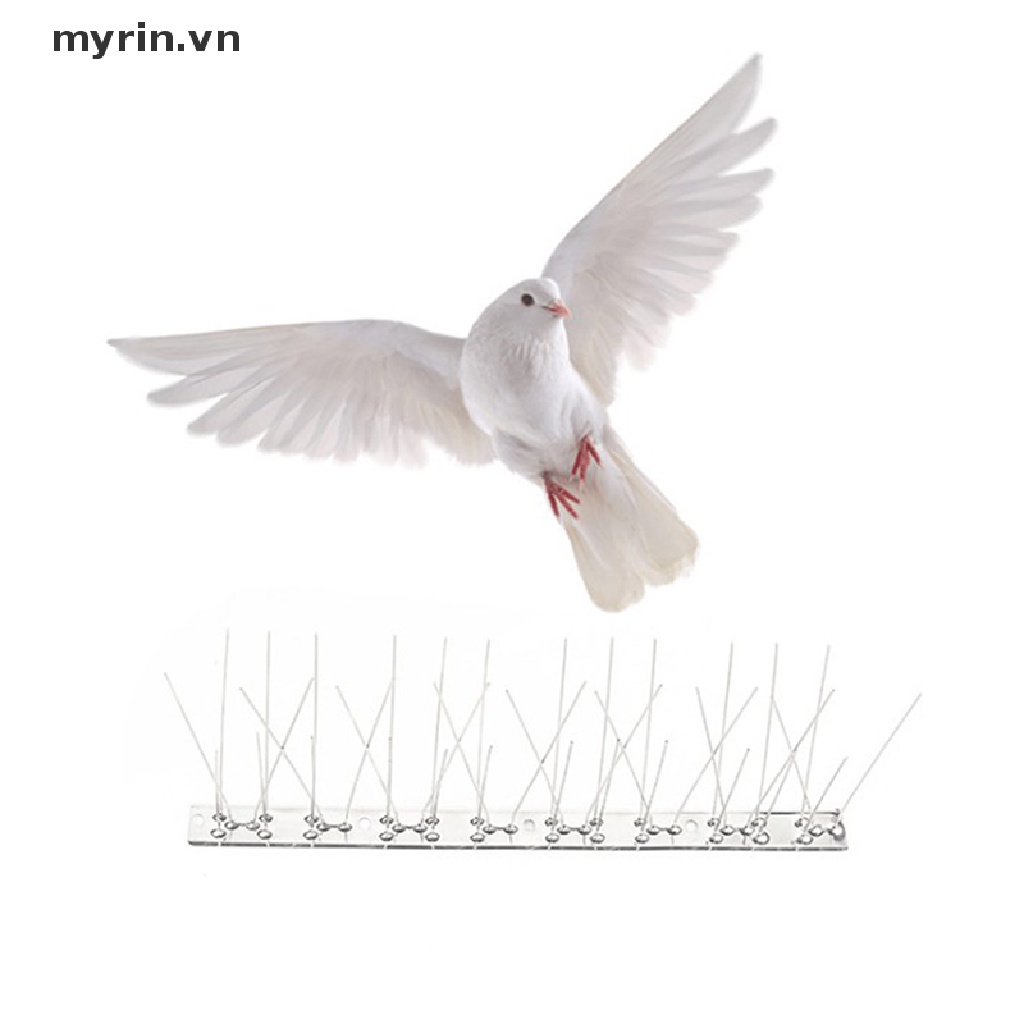 Hàng Rào Đinh Bằng Thép Không Gỉ Chống Chim Bồ Câu