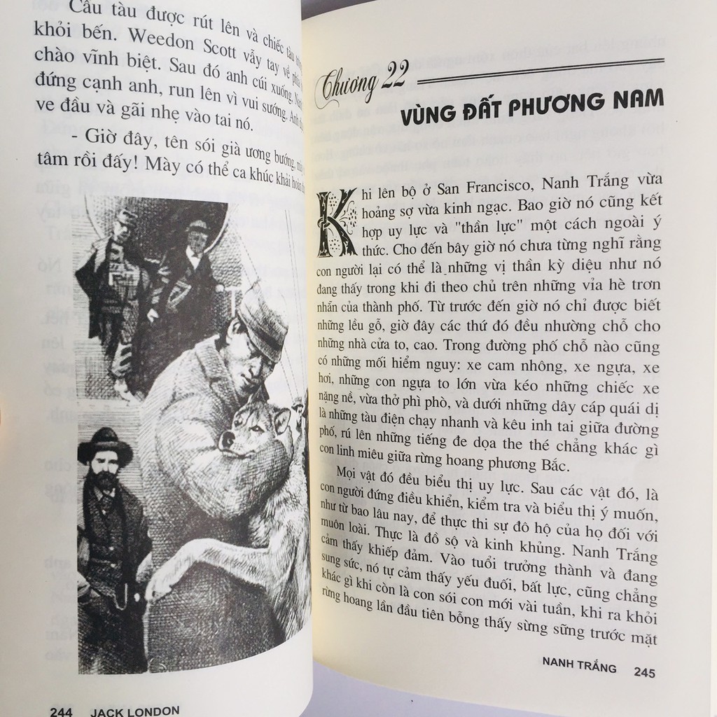 Sách – Nanh Trắng - Jack London
