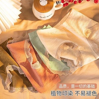 Set 10 quần chip nữ