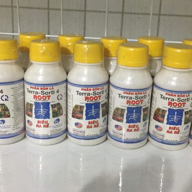 Terra sort 4 siêu ra rễ