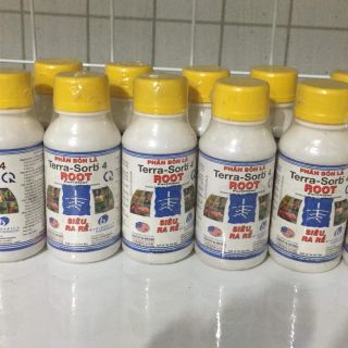 Terra sort 4 siêu ra rễ