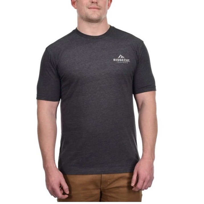 Áo thun nam có bigsize