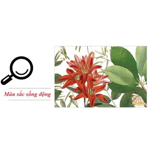 Decal giấy dán tường [MẪU MỚI] Decan Hoa dại