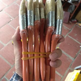 12 chiếc chổi quét sơn đủ số