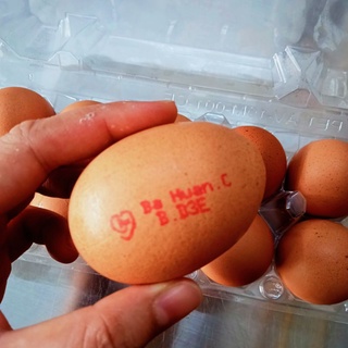 Trứng gà ba huân size lớn 70g 10 quả