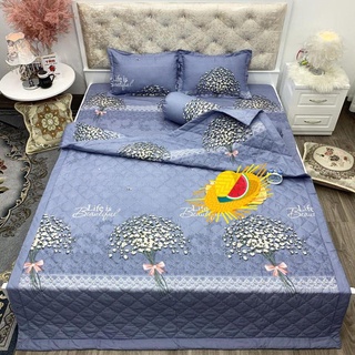 Ga trải giường bo chun bọc đệm 1m4 và 1m6,có chọn mẫu-kho hcm SGR09