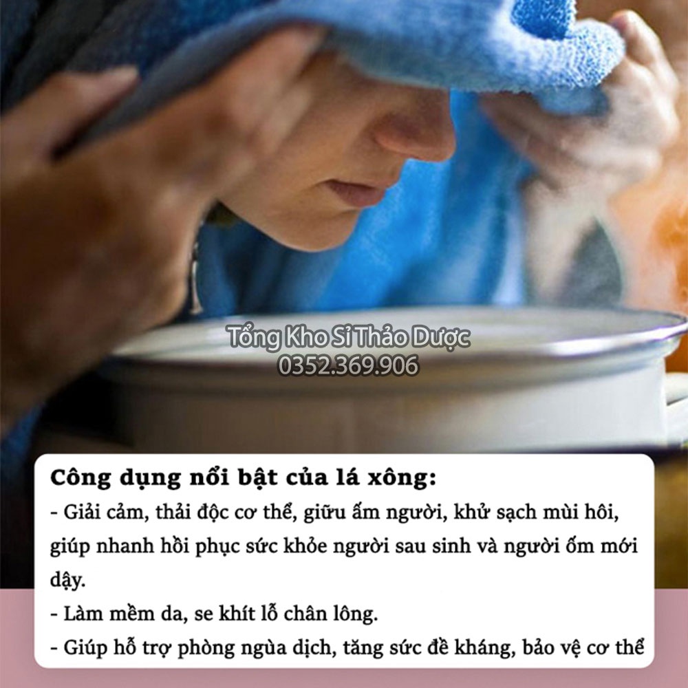 Lá xông thảo dược 1 set (Lá xông hơi giải cảm, phục hồi sức khỏe, tăng sức đề kháng)