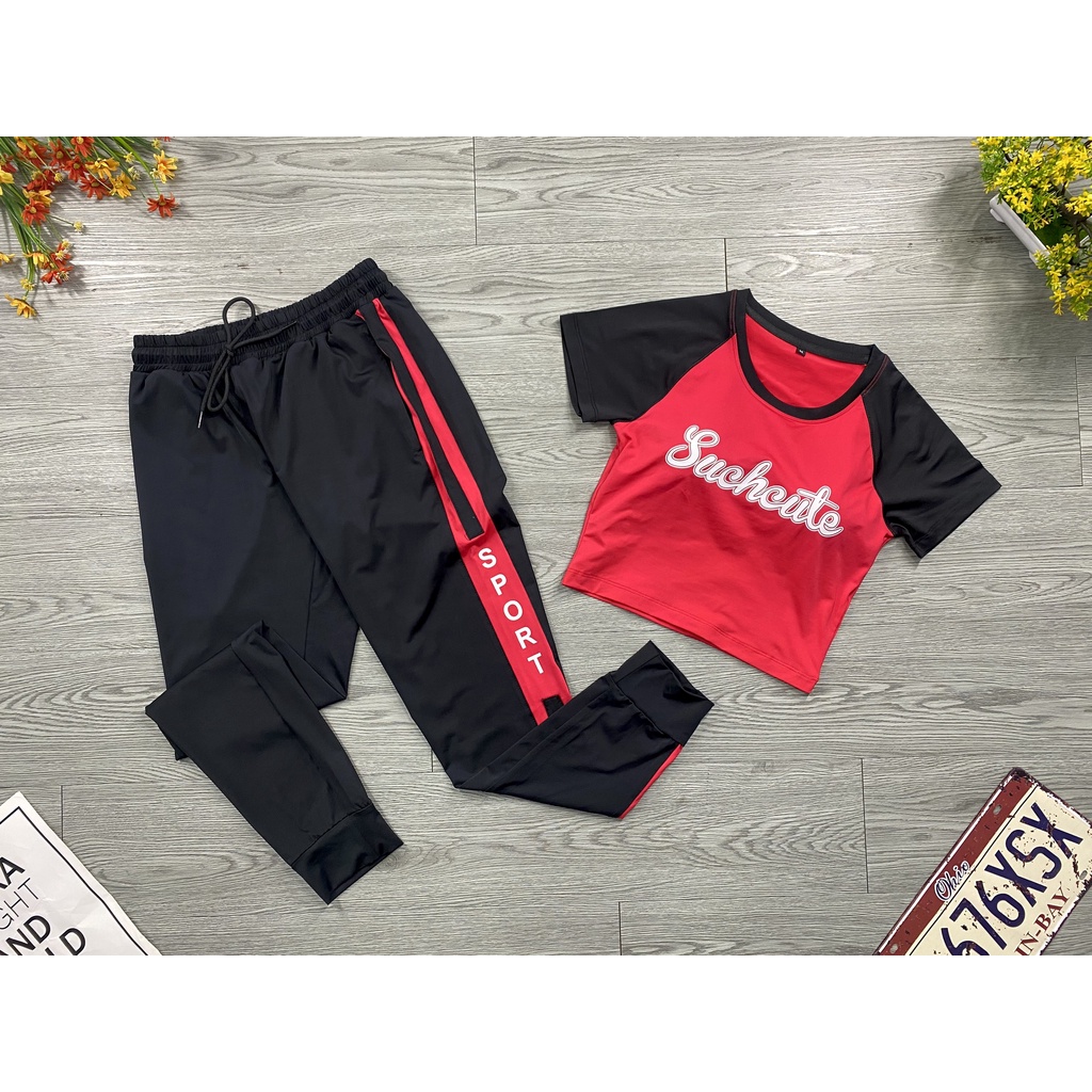 [ XẢ KHO ] Bộ Thể Thao Nữ Thun Co Giãn 4 Chiều Tập Gym Yoga Ecrobic