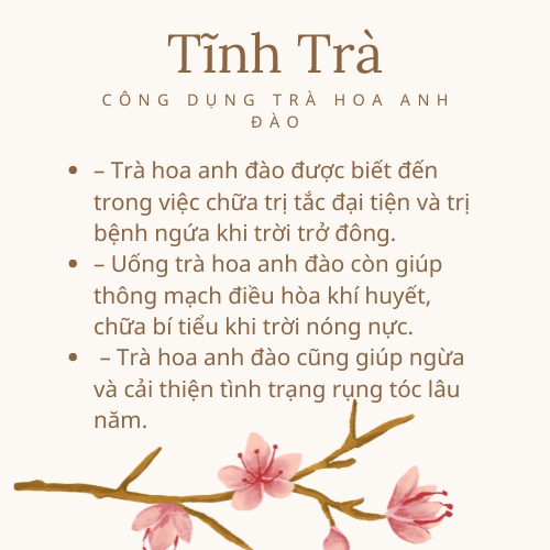 Hoa anh đào sấy khô _ tĩnh trà