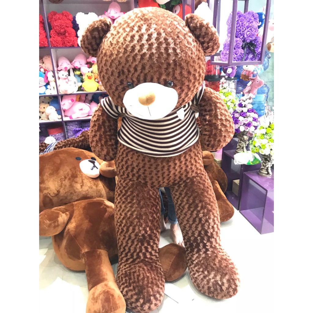 Gấu bông Teddy hình thật size 1m8