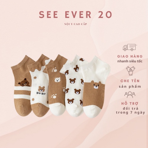 Set 10 Đôi Tất,Vớ Nữ Cotton Họa Tiết Gấu Nâu Brow Đáng Yêu Phong Cách Hàn Quốc Túi Zip