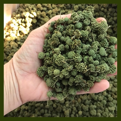 NỤ HOA TAM THẤT 100gr