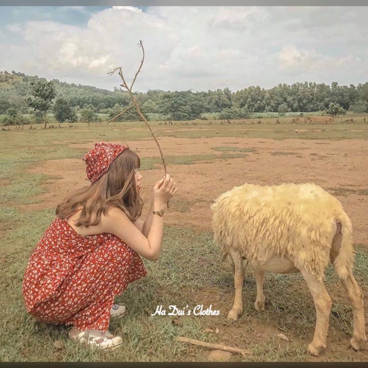 Váy đầm 2 dây hoa nhí đỏ Vintage, Đầm Hoa Nhí 2 Dây Nữ